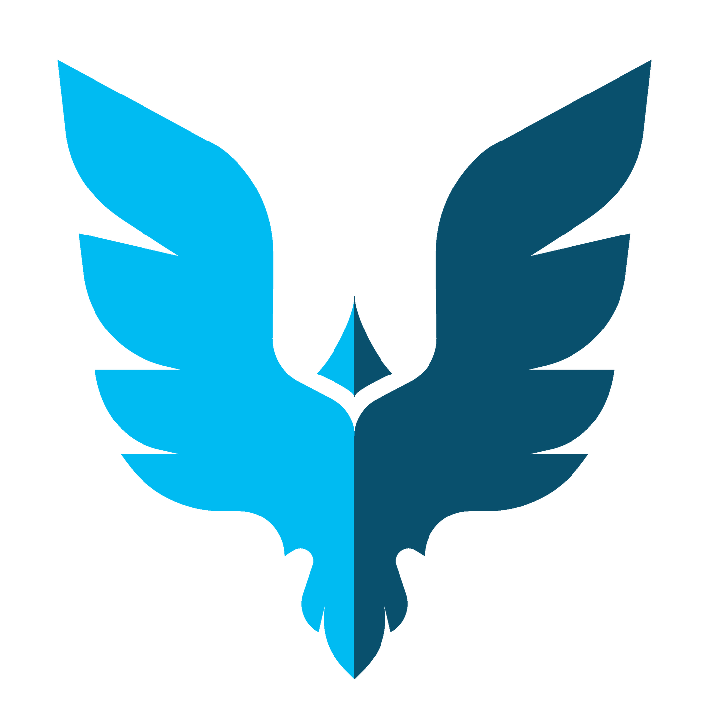 4. STUDENT- Soar 2026 Tryouts - $25.00