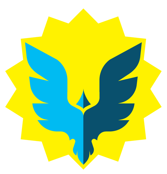 3. GENERAL -Soar 2026 Tryouts - $40.00